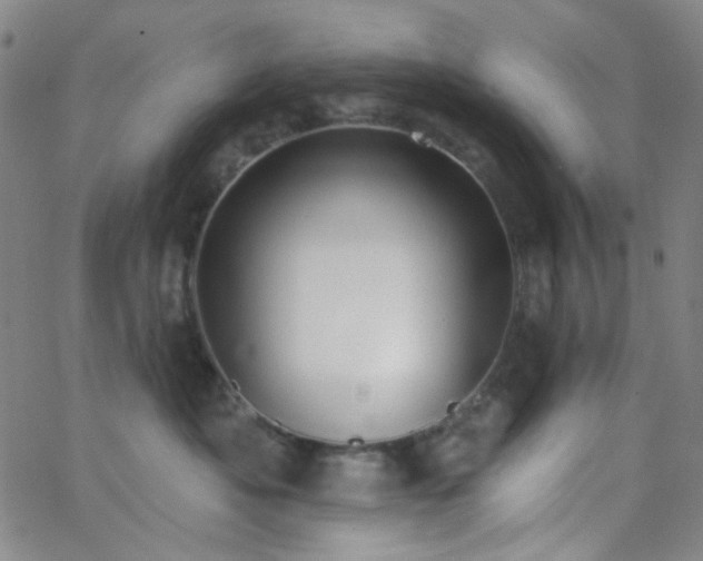 X0000062610525200512211140