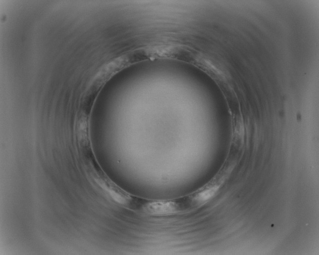 X0000062610526200512211140