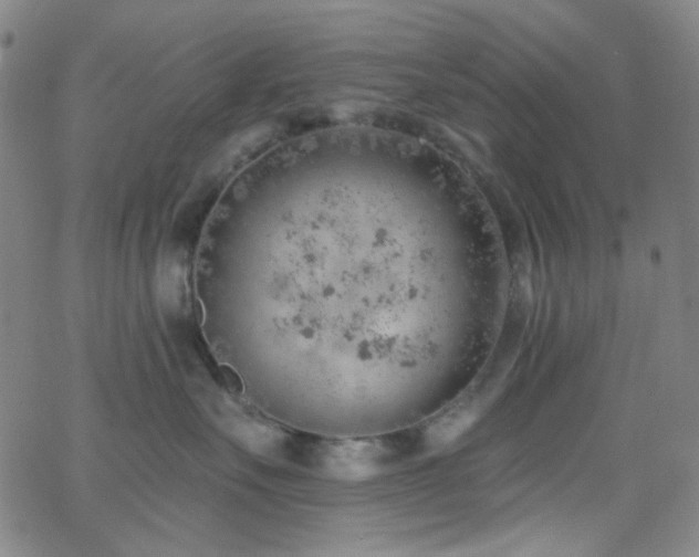 X0000062610527200512211140