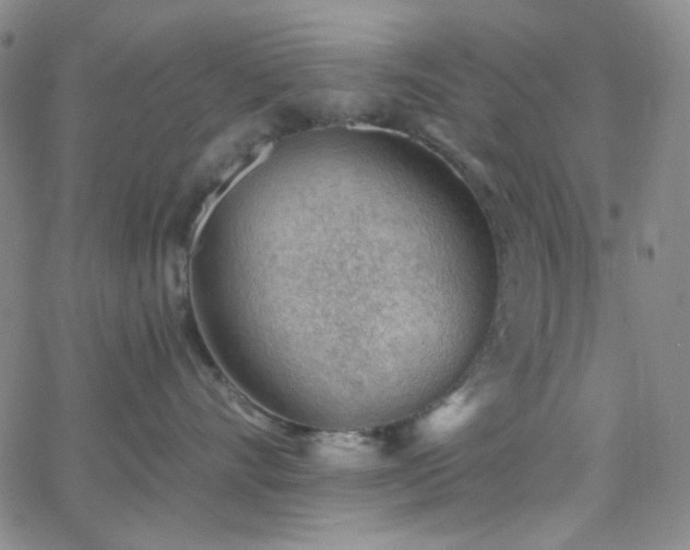 X0000062610528200512211140