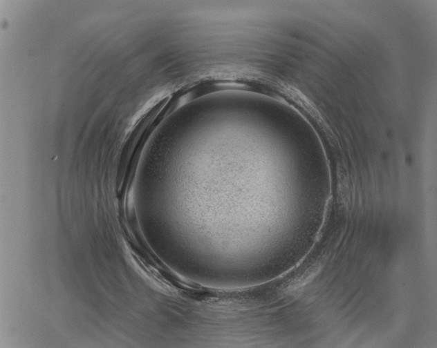 X0000062610530200512211139