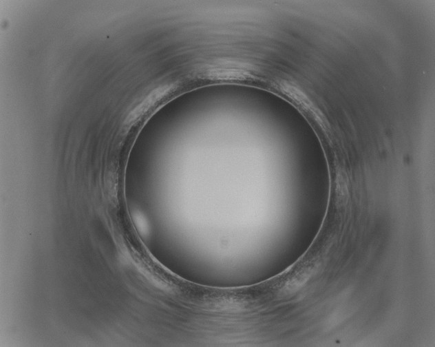 X0000062610533200512211139