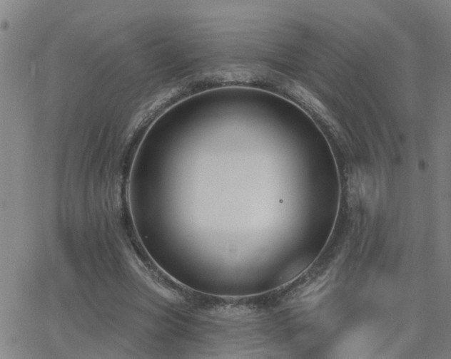 X0000062610537200512211139