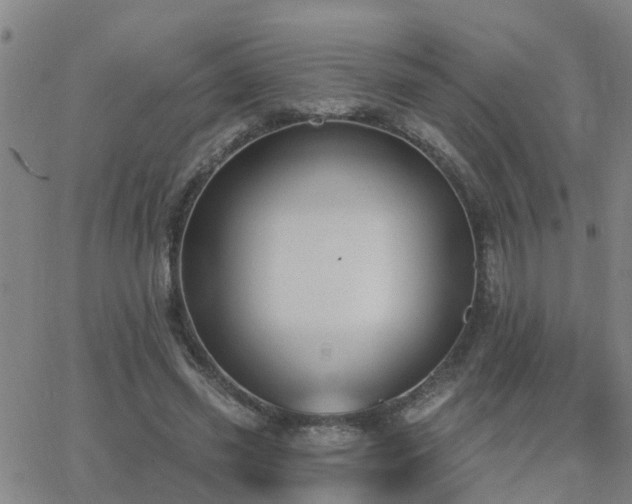 X0000062610541200512211139