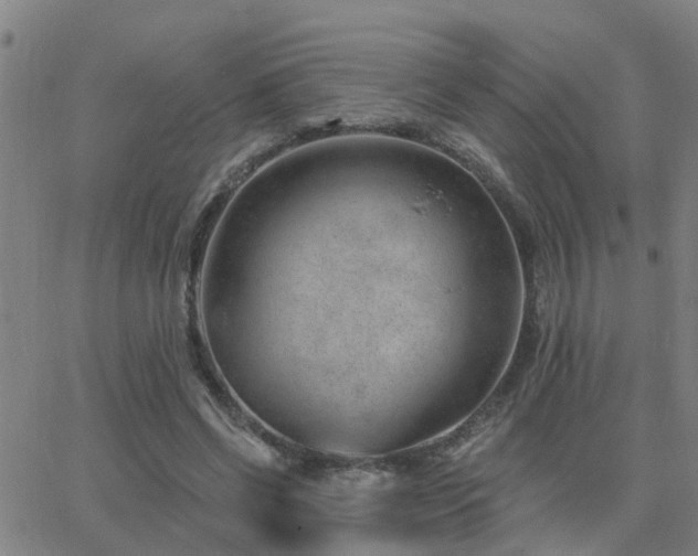 X0000062610542200512211139