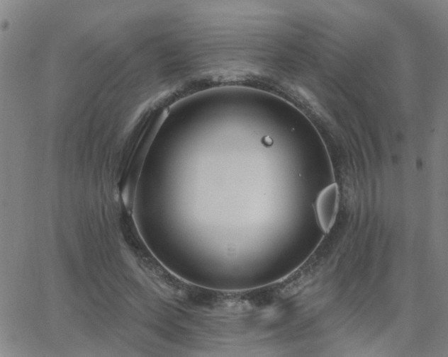 X0000062610543200512211139