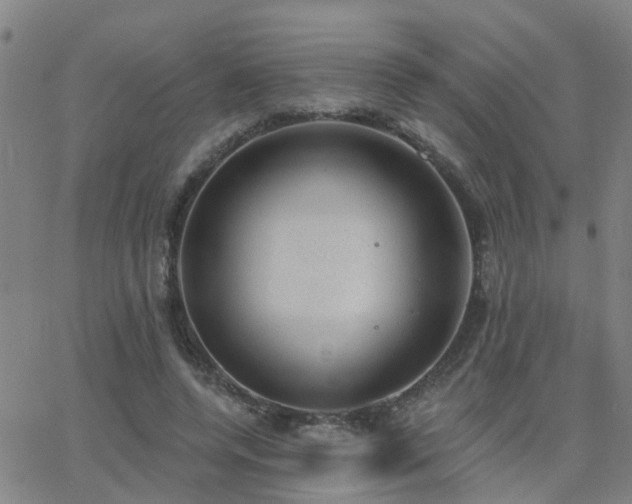 X0000062610544200512211139