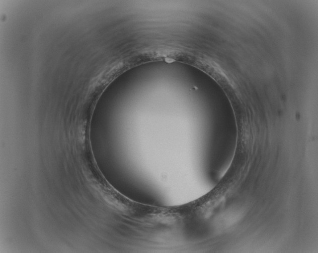 X0000062610545200512211139