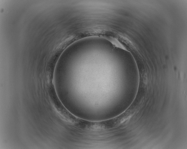 X0000062610546200512211139