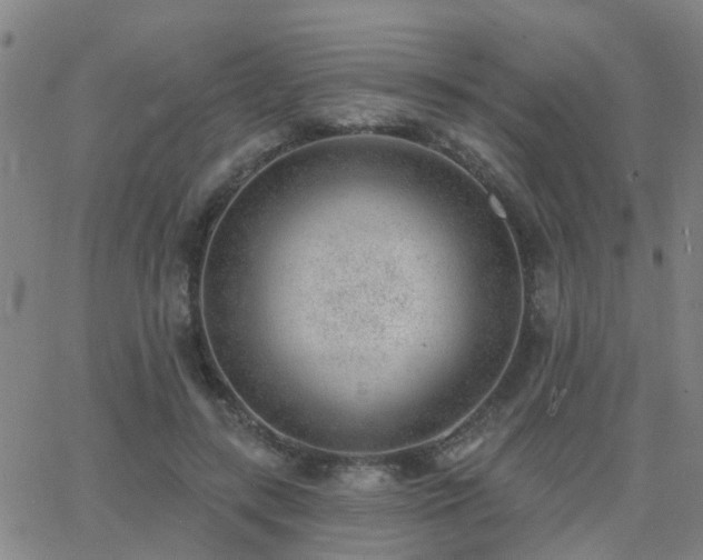 X0000062610547200512211139