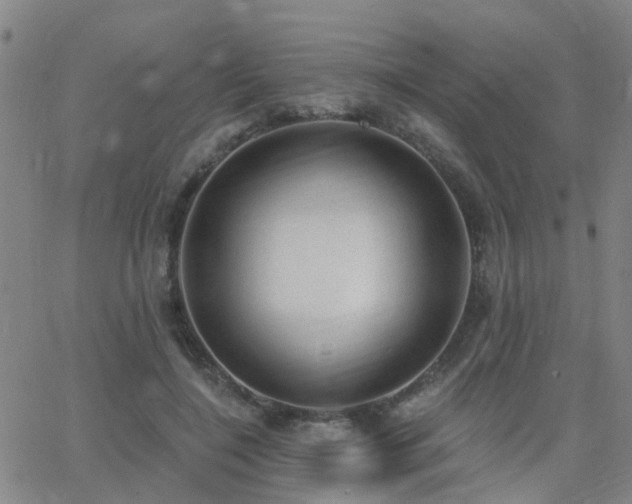 X0000062610548200512211139