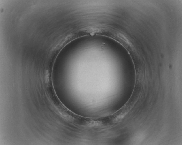 X0000062610549200512211139