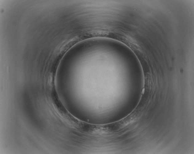 X0000062610550200512211139