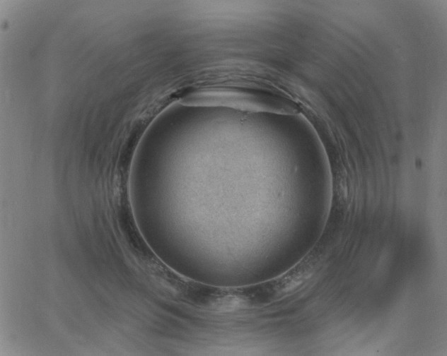 X0000062610551200512211139