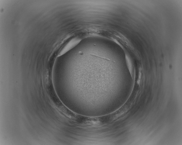 X0000062610552200512211139