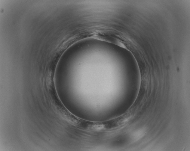 X0000062610554200512211139