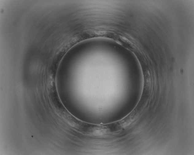 X0000062610555200512211139