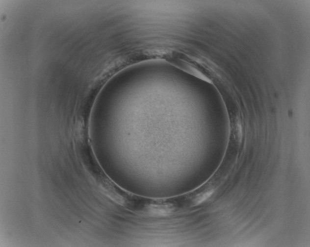 X0000062610556200512211139