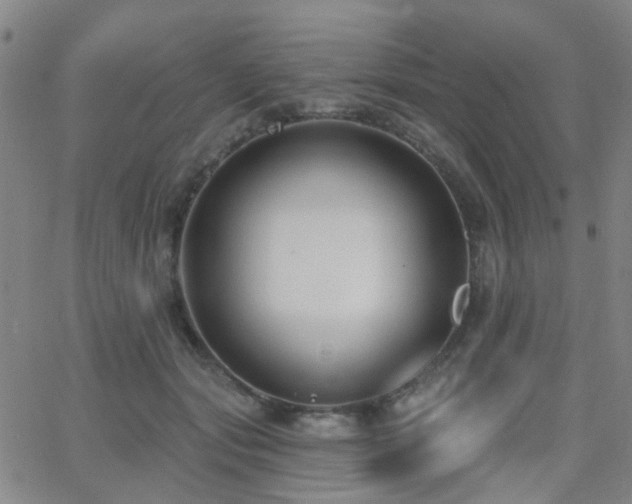 X0000062610557200512211139