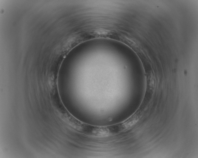 X0000062610559200512211140