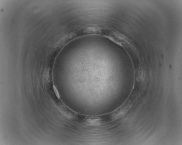 X0000062610560200512211140