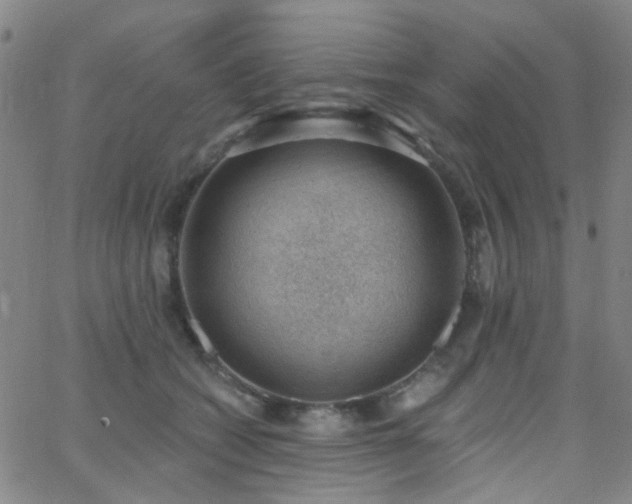 X0000062610562200512211140