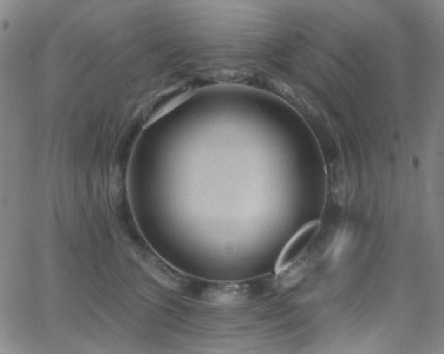 X0000062610563200512211140