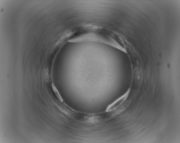 X0000062610564200512211140