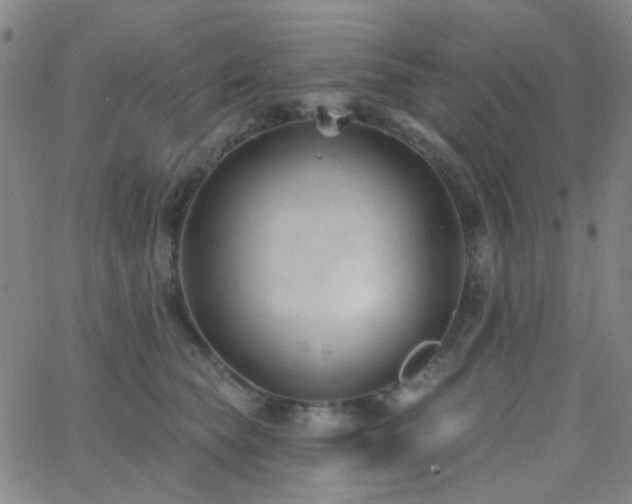 X0000062610565200512211140