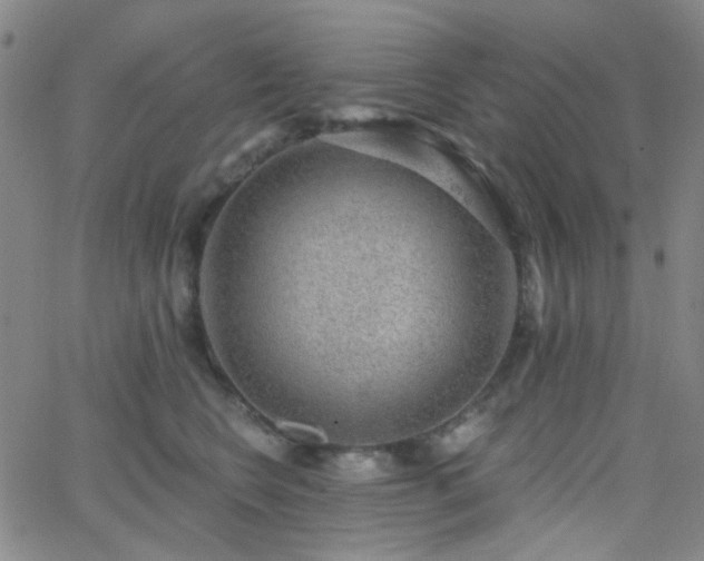 X0000062610566200512211140