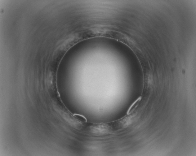 X0000062610567200512211140