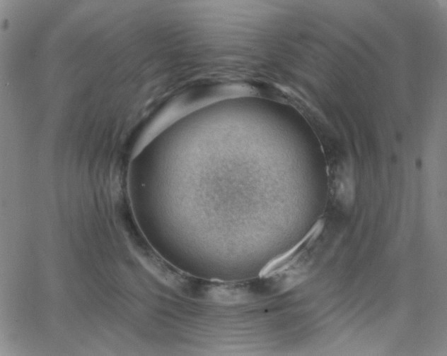 X0000062610568200512211140