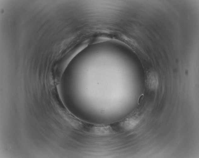 X0000062610571200512211140