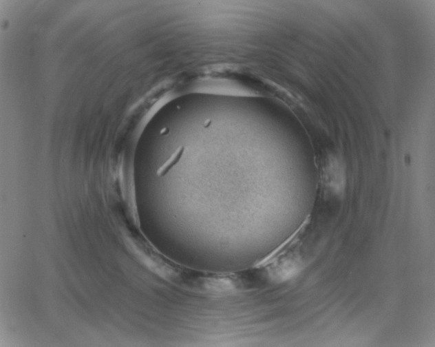 X0000062610572200512211140