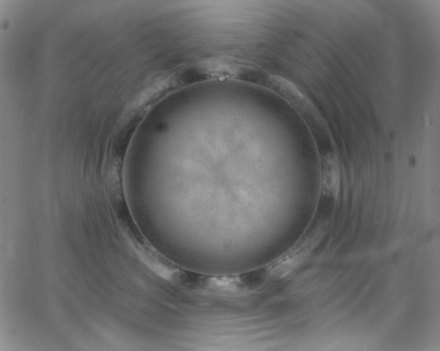 X0000062610573200512211140