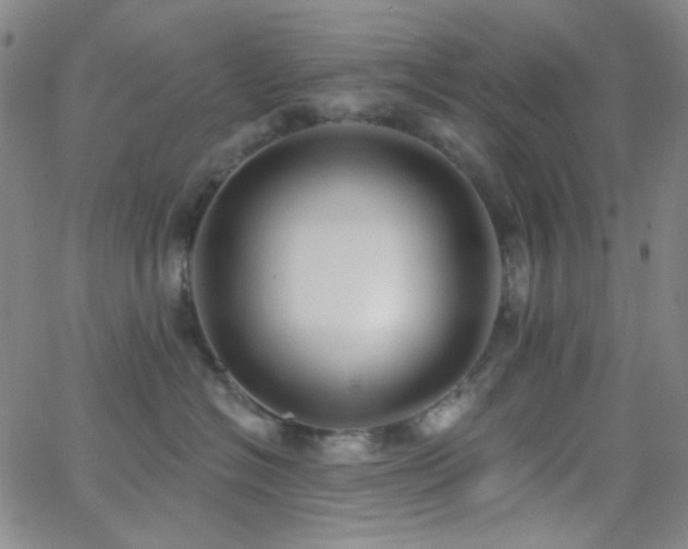 X0000062610574200512211140