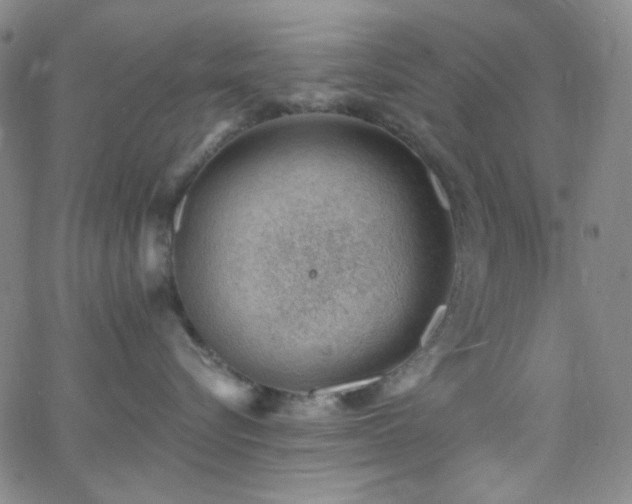 X0000062610576200512211140