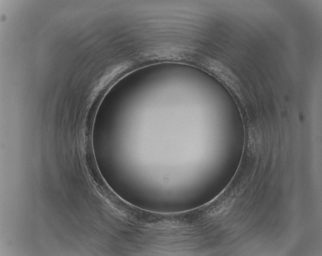 X0000062610578200512211139