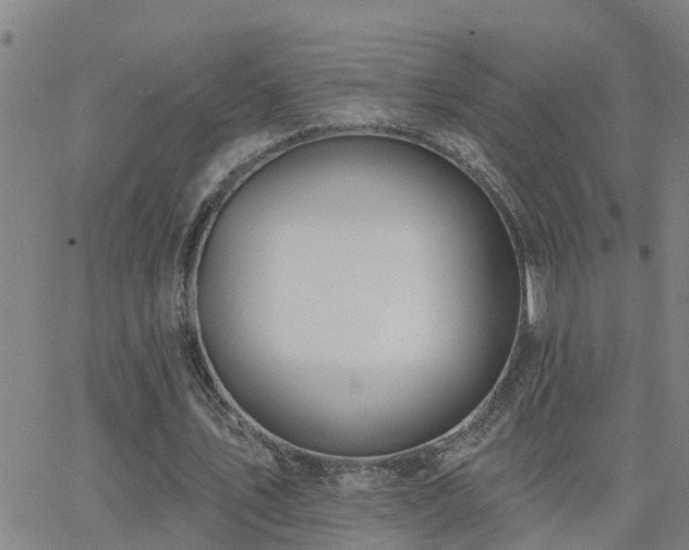 X0000062610579200512211139