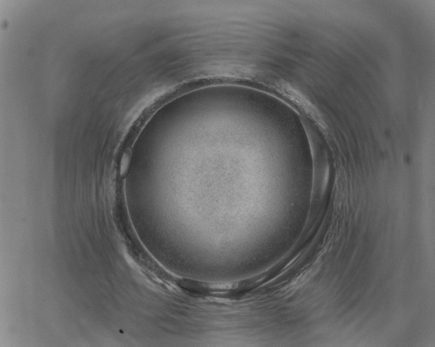 X0000062610580200512211139