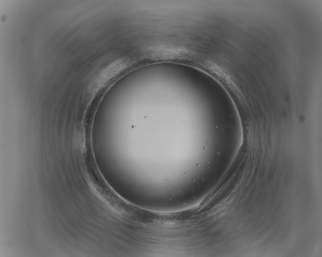 X0000062610582200512211139