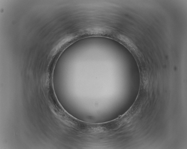 X0000062610583200512211139