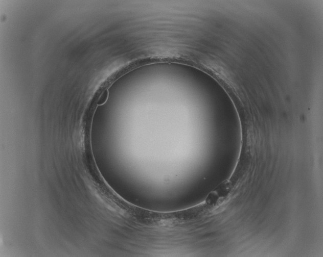 X0000062610584200512211139