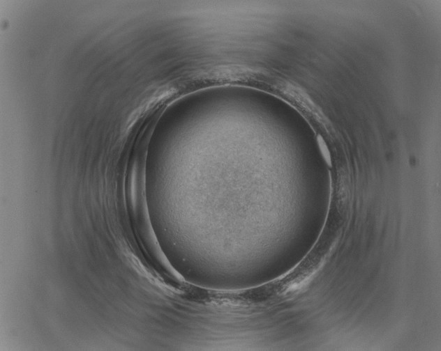 X0000062610585200512211139