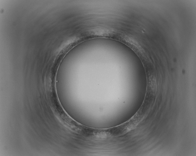 X0000062610587200512211139