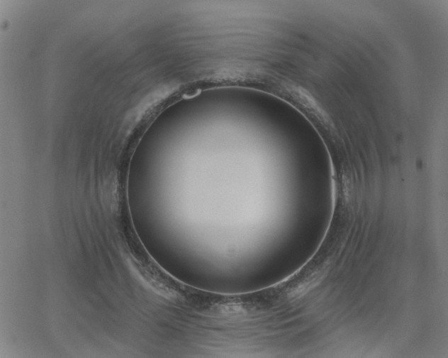 X0000062610588200512211139