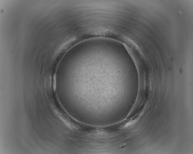 X0000062610589200512211139