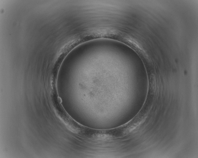 X0000062610590200512211139