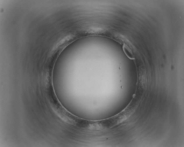 X0000062610591200512211139