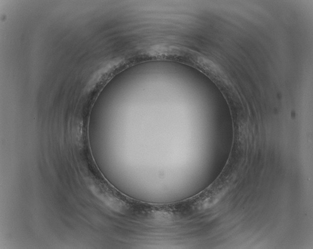 X0000062610592200512211139